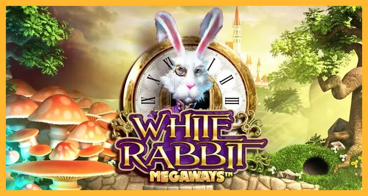 éå
çã®é«ãã¹ããããã®2ïŒãã¯ã€ãã©ããã